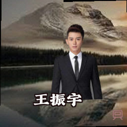 王振宇